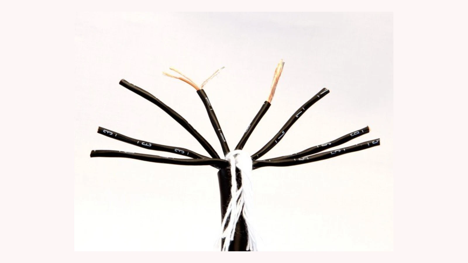 Multicabo Redco 8-CH EZ/ID Mogami: identificação e integridade de sinal no loom